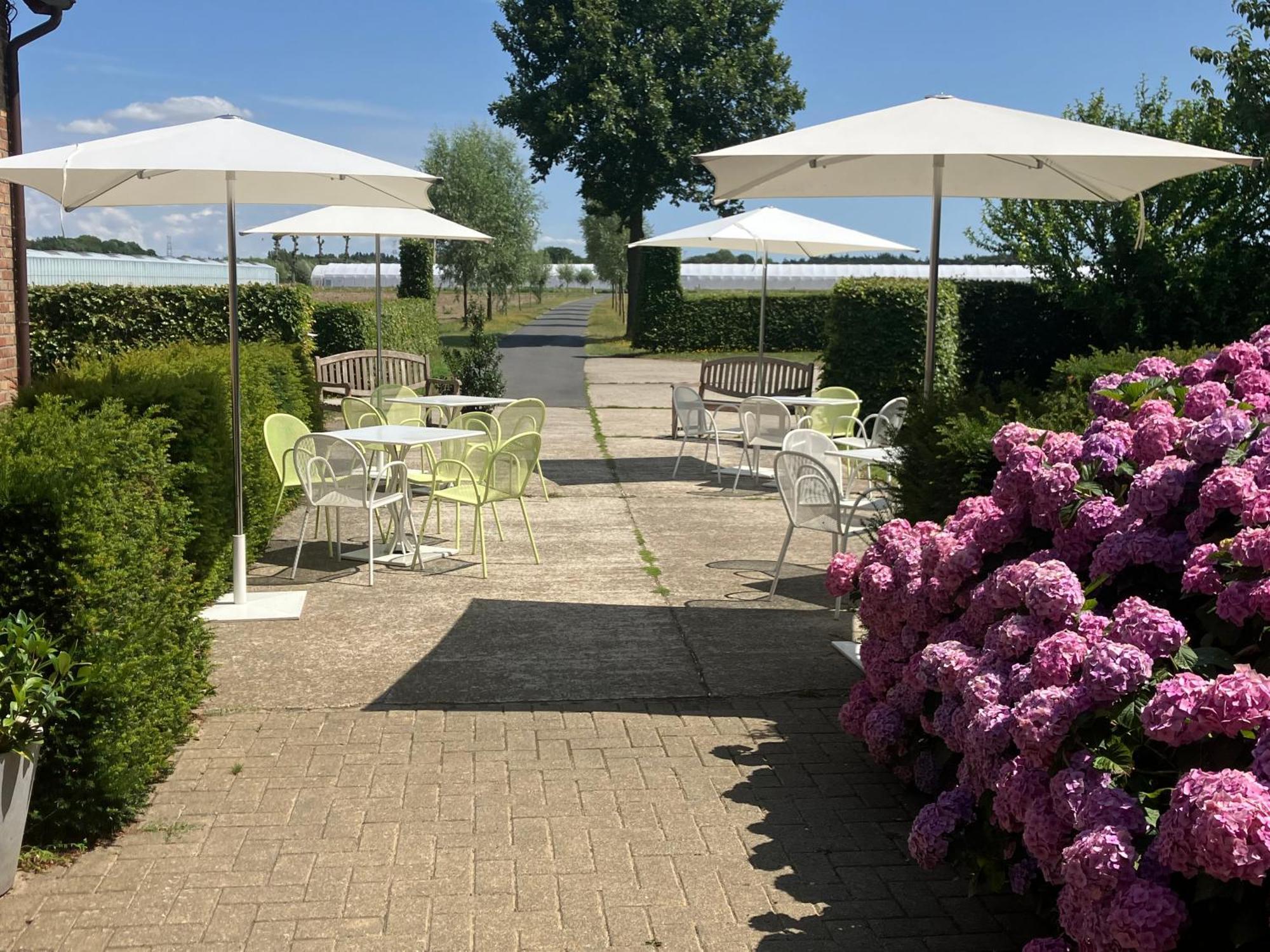 Tannine Et Cuisine Villa Ябеке Екстериор снимка